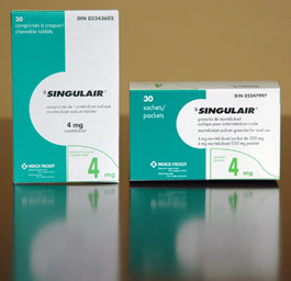 how long does singulair last in the body